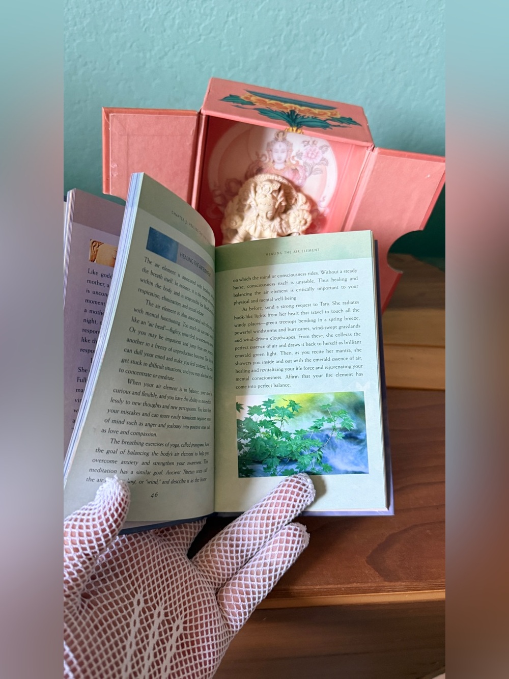 The Tara Box Rituals Protection Healing Gehlek Rimpoche Complete Set - Picture 3 of 13